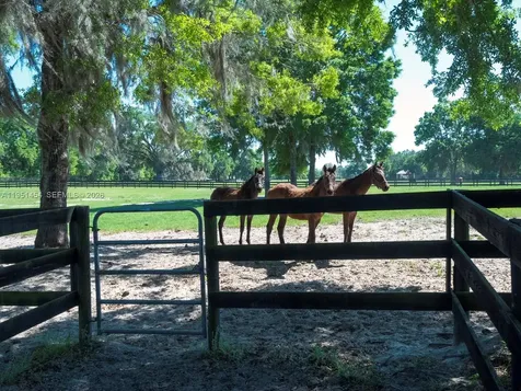 7787 NW 150th Avenue Ocala FL 32668