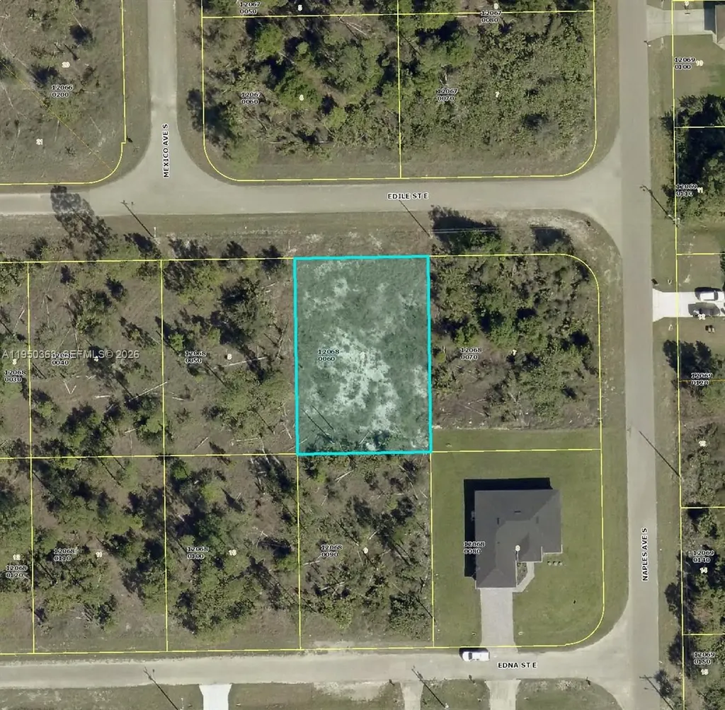 1252 Edile Street E Lehigh Acres FL 33974