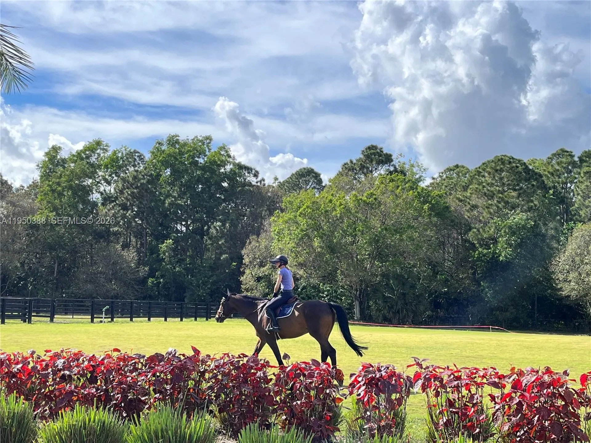 Loxahatchee FL 33470