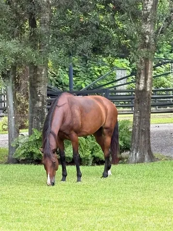 Loxahatchee FL 33470
