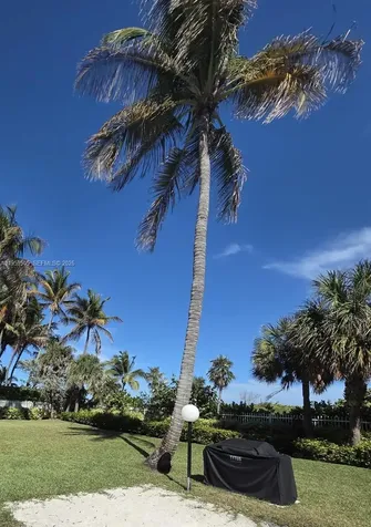 2401 Collins Avenue Miami Beach FL 33140