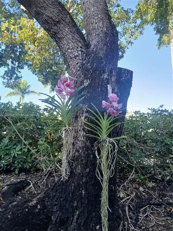 3618 San Simeon Circle Weston FL 33331