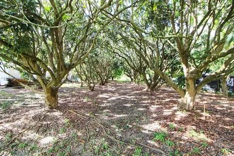 37225 SW 214th Avenue Homestead FL 33034