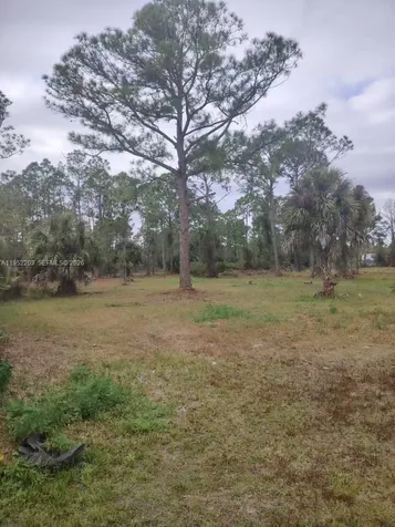 615 621 Hunting Club Avenue Clewiston FL 33440