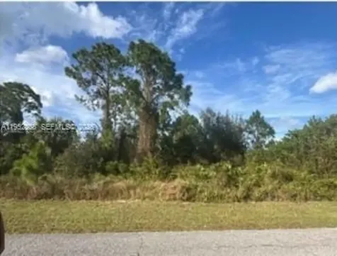 859 Carpenter Street E Lehigh Acres FL 33974
