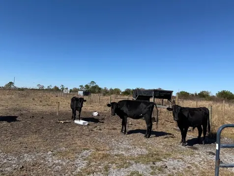 286 Lott Grade Other City - Not In The State Of Florida FL 33960