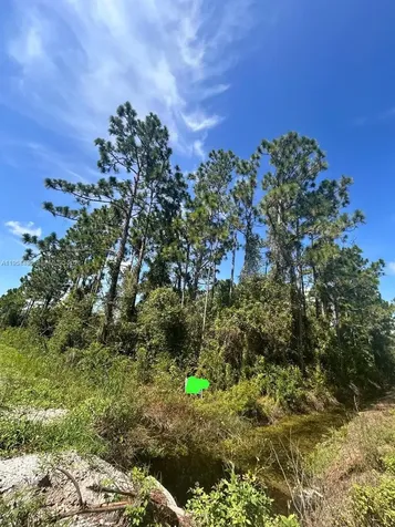 966 NW Challenger Lake Placid FL 33852