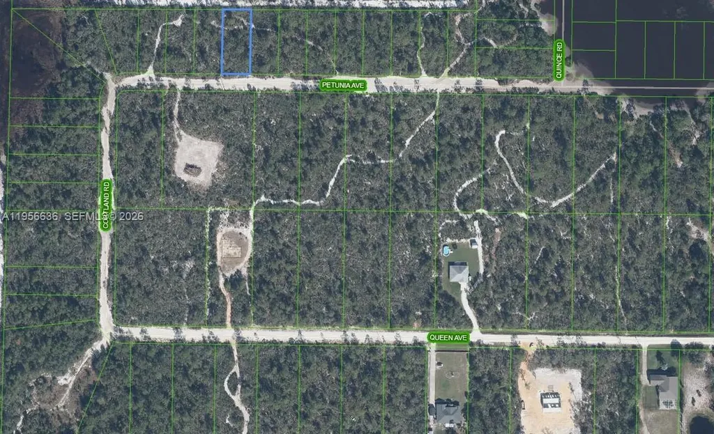 2210 Petunia Avenue Sebring FL 33875