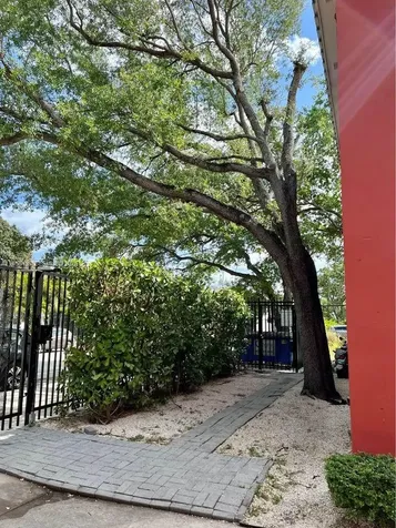 544 NE 62nd Street Miami FL 33138