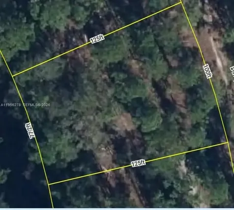 6203 Banyan Road Sebring FL 33875