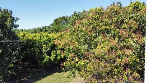 22020 SW 207th Avenue Miami FL 33170