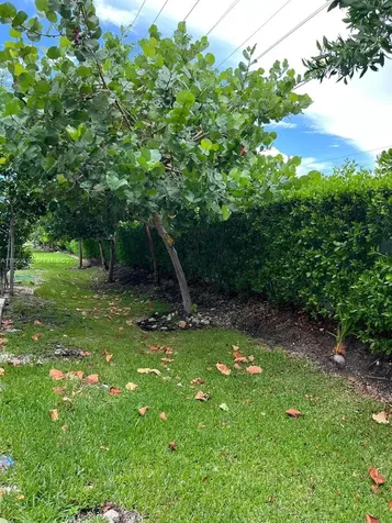 94825 Overseas Highway Key Largo FL 33037