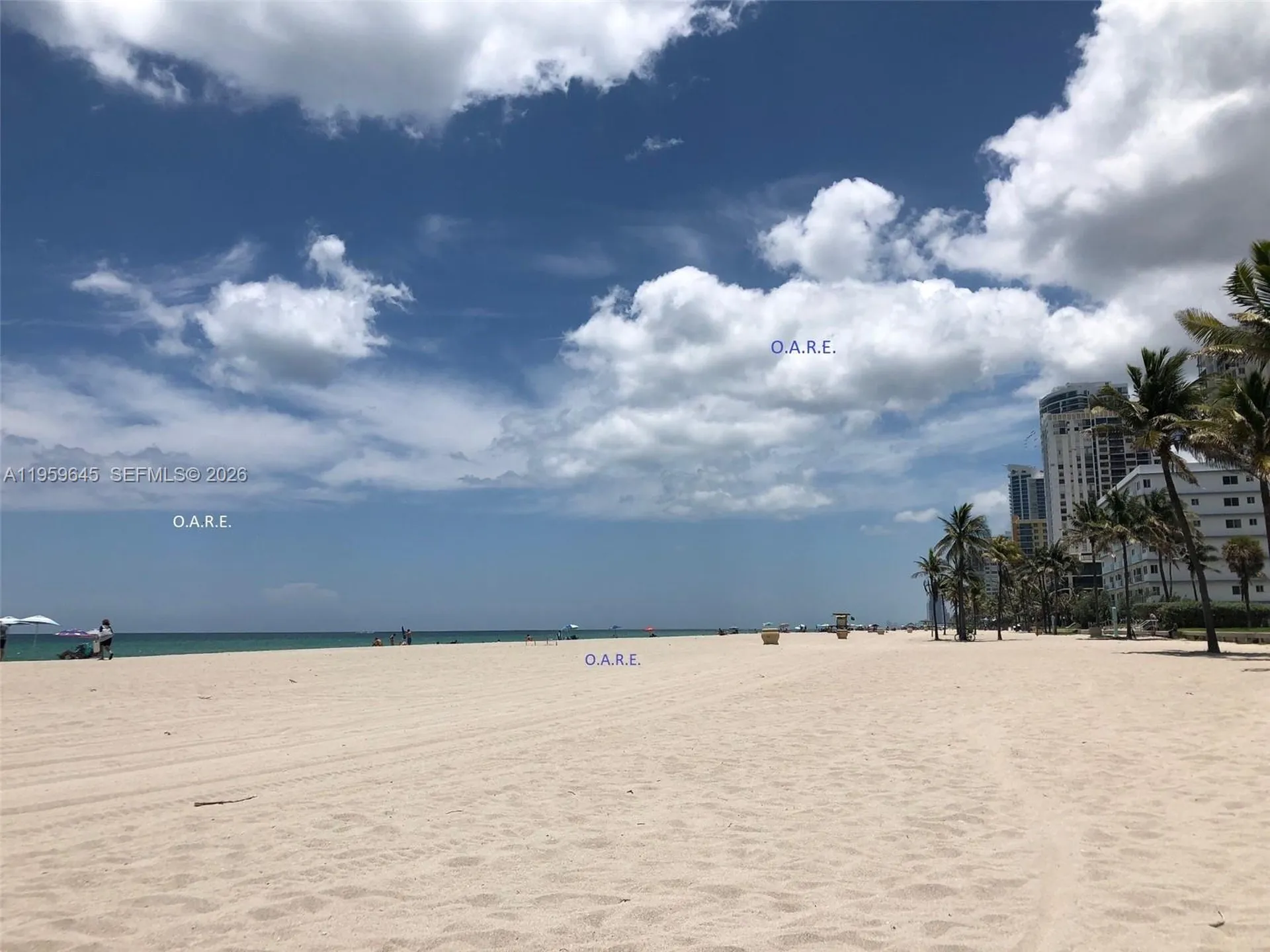 3901 S Ocean Drive Hollywood FL 33019