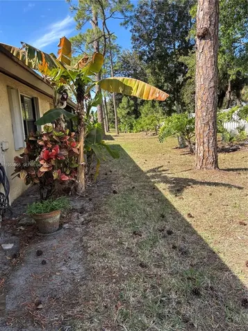 159 Pinto Palm Court Royal Palm Beach FL 33411