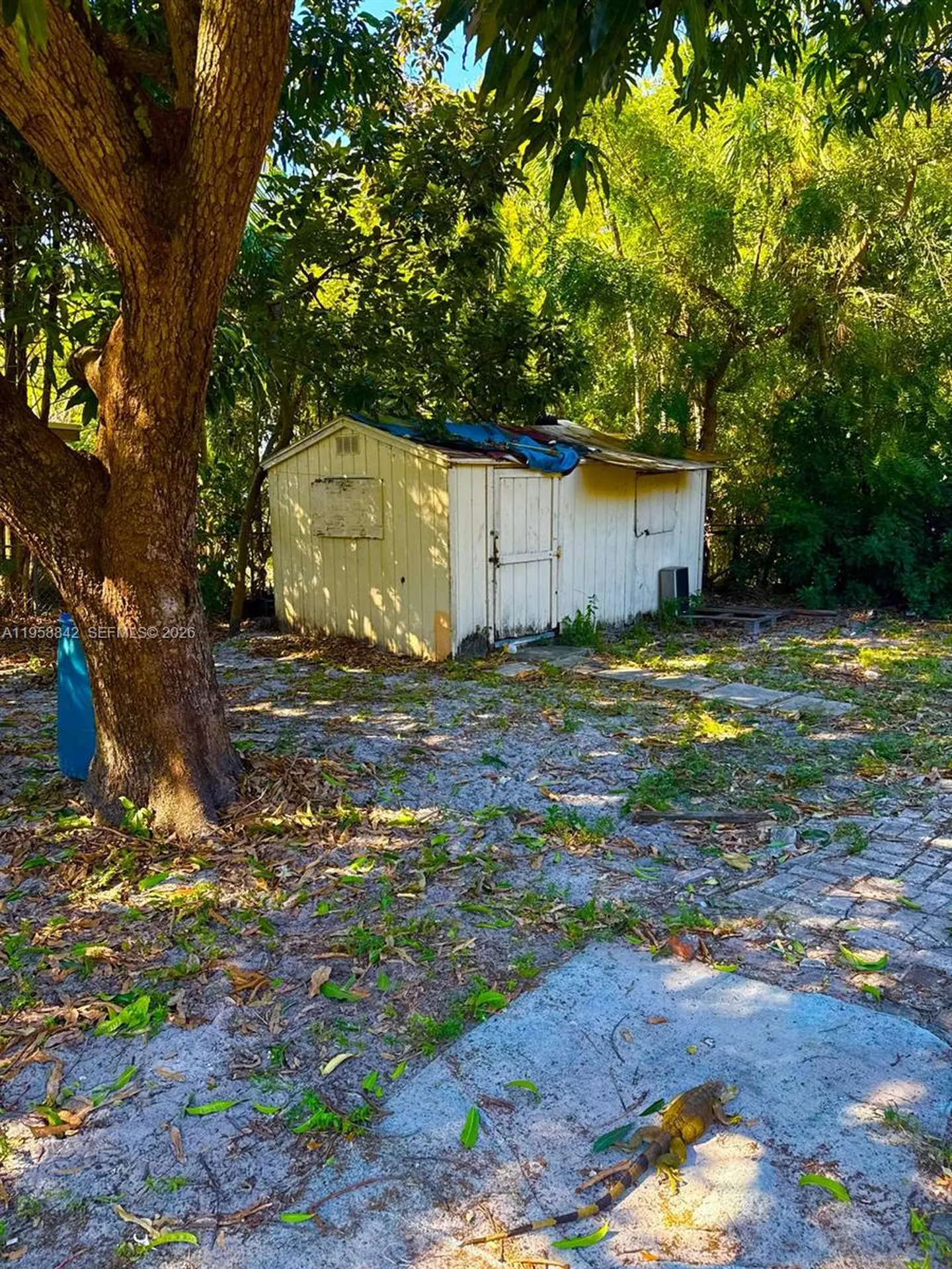 1100 N 24th Avenue Hollywood FL 33020
