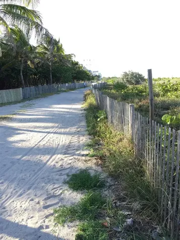 Miami Beach FL 33141