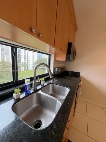 16919 N Bay Road Sunny Isles Beach FL 33160