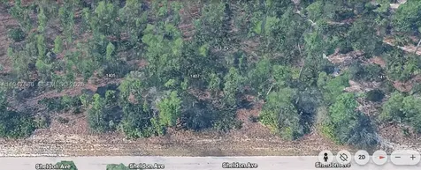 1407 Sheldon Avenue Lehigh Acres FL 33972