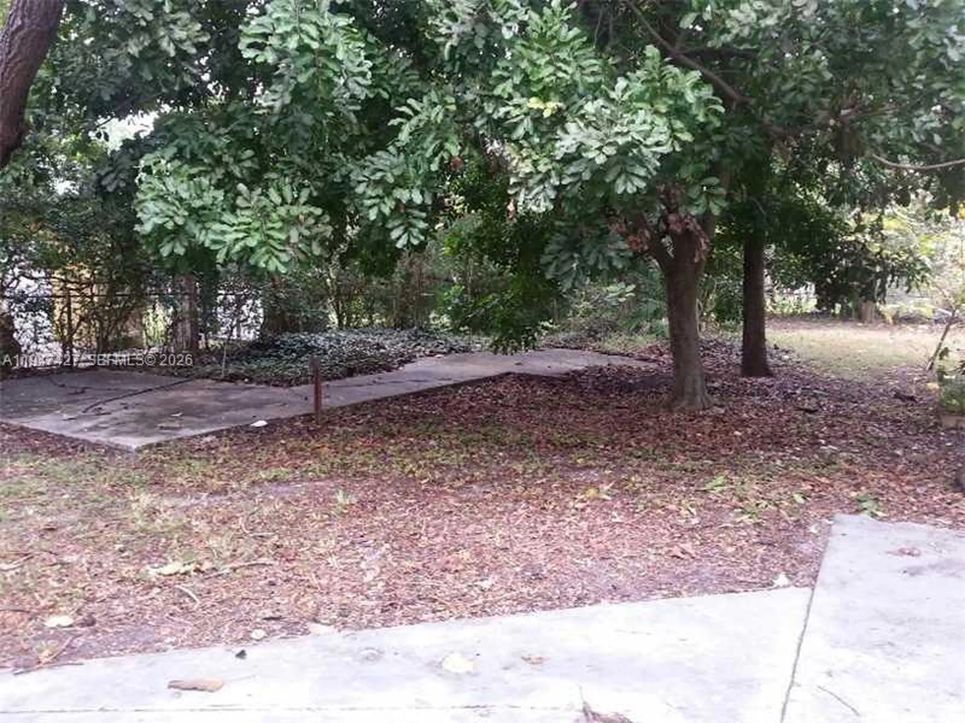 2447 Pierce Street Hollywood FL 33020