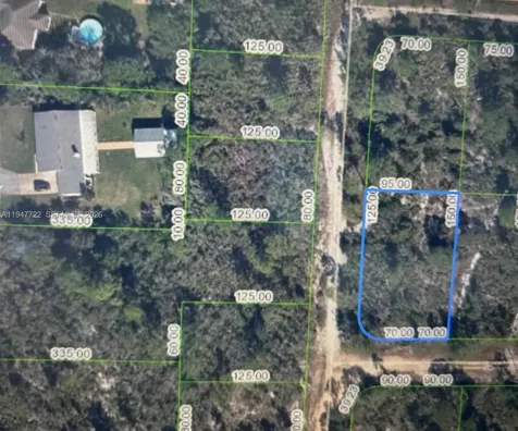 1846 Nolana Avenue Sebring FL 33875