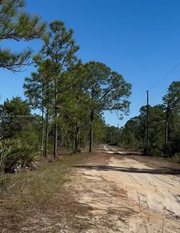 1846 Nolana Avenue Sebring FL 33875