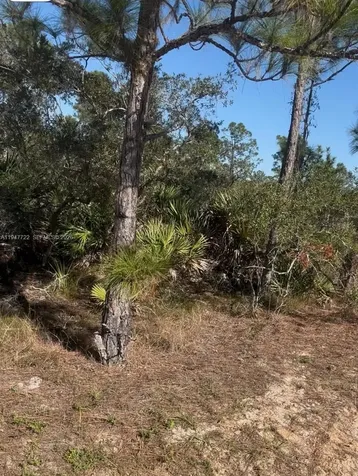 1846 Nolana Avenue Sebring FL 33875