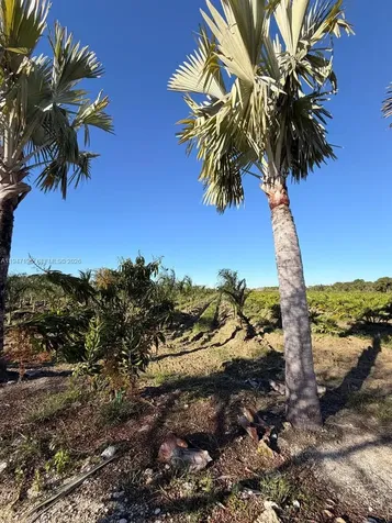 287XX SW 107 Avenue Unincorporated Dade FL 33033