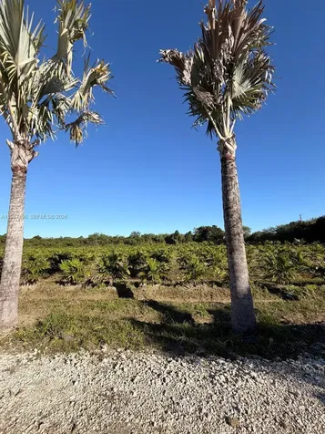 287XX SW 107 Avenue Unincorporated Dade FL 33033
