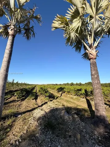 287XX SW 107 Avenue Unincorporated Dade FL 33033