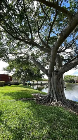 9977 NW 6th Court Plantation FL 33324