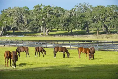 15821 SW 49th Street Southwest Ranches FL 33331
