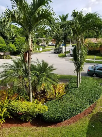 SW Bird Road South Miami FL 33155