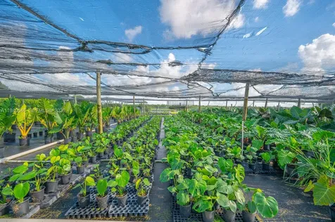 20750 SW 256 Street Homestead FL 33031
