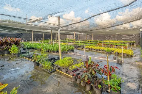 20750 SW 256 Street Homestead FL 33031
