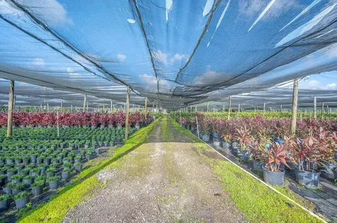 20750 SW 256 Street Homestead FL 33031