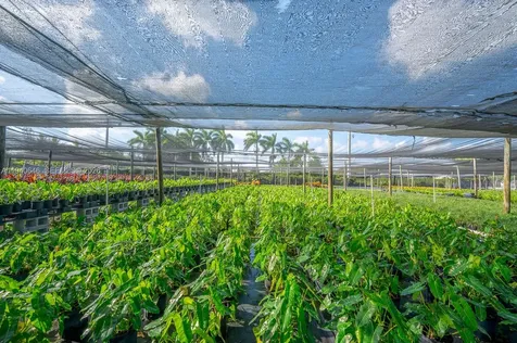 20750 SW 256 Street Homestead FL 33031