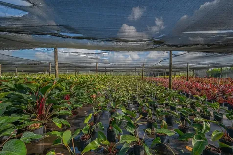 20750 SW 256 Street Homestead FL 33031