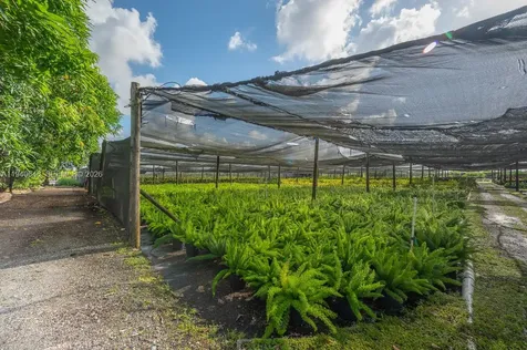 20750 SW 256 Street Homestead FL 33031