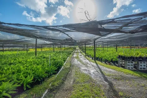 20750 SW 256 Street Homestead FL 33031