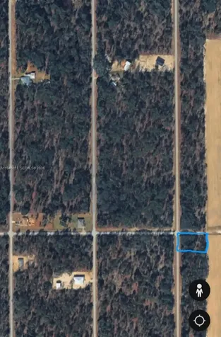 Lots 1.2 NW Buena Vista Road Ocala FL 34431