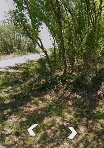 Lots 1.2 NW Buena Vista Road Ocala FL 34431