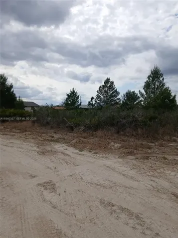 2935 W Gaffney Road Avon Park FL 33825