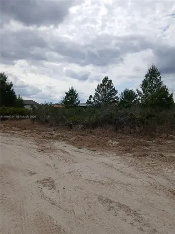 2917 W Gaffney Road Avon Park FL 33825