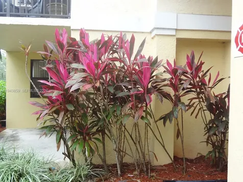 10125 W Sunrise Boulevard Plantation FL 33322