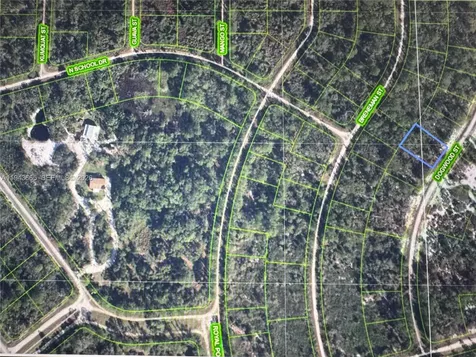 1230 Dogwood Lake Placid FL 33852