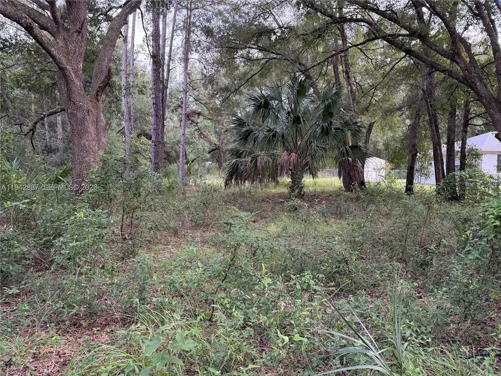 0 Street Benedict Drive Other City - In The State Of Florida FL 34432