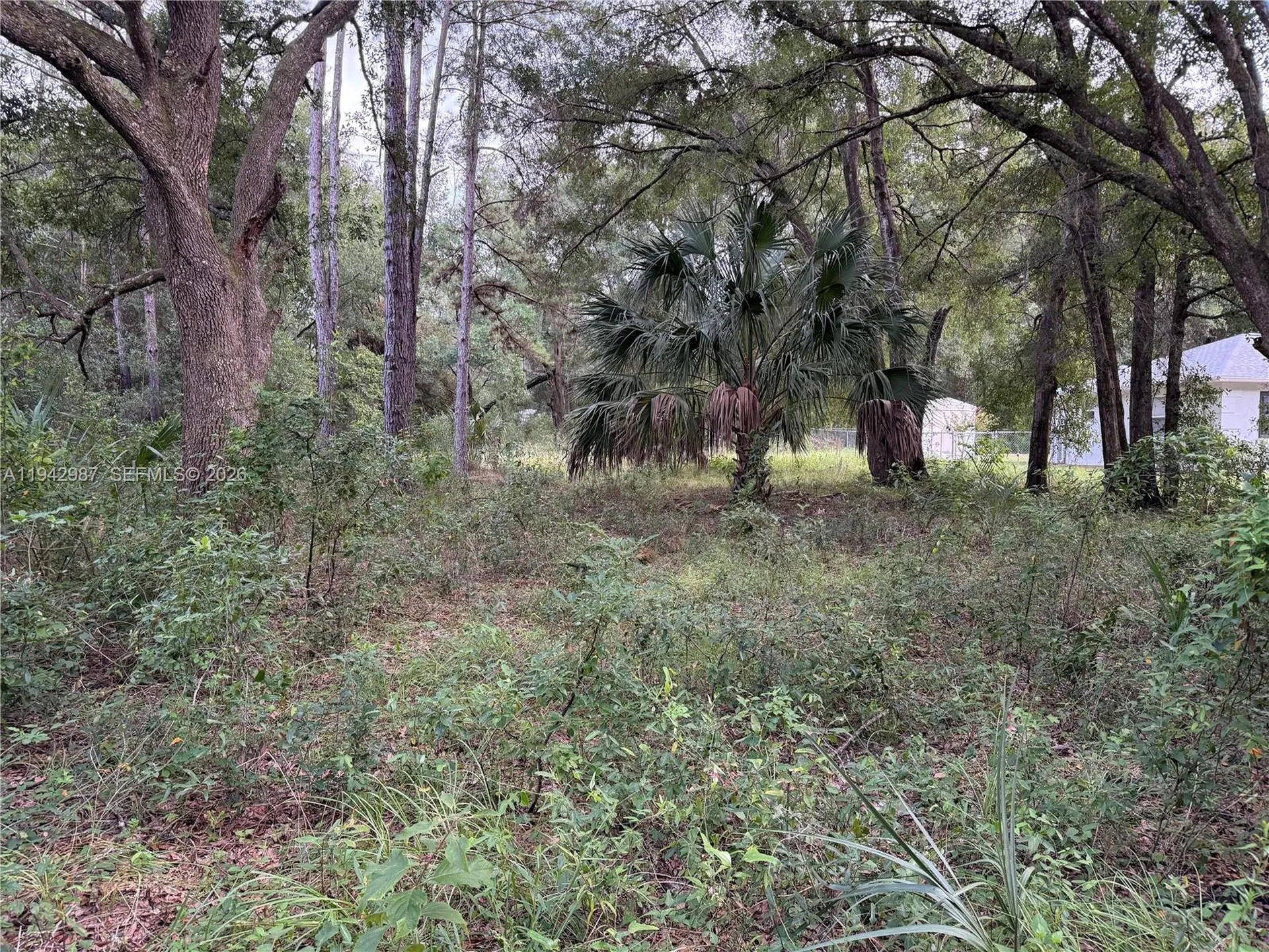 0 Street Benedict Drive Other City - In The State Of Florida FL 34432