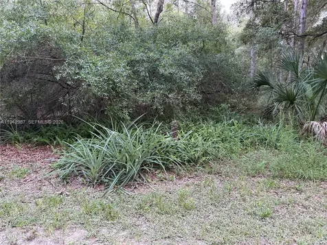 0 Street Benedict Drive Other City - In The State Of Florida FL 34432