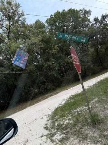 0 Street Benedict Drive Other City - In The State Of Florida FL 34432