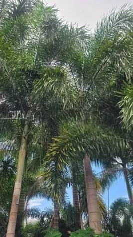Miami FL 33187